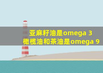 亚麻籽油是omega 3 橄榄油和茶油是omega 9